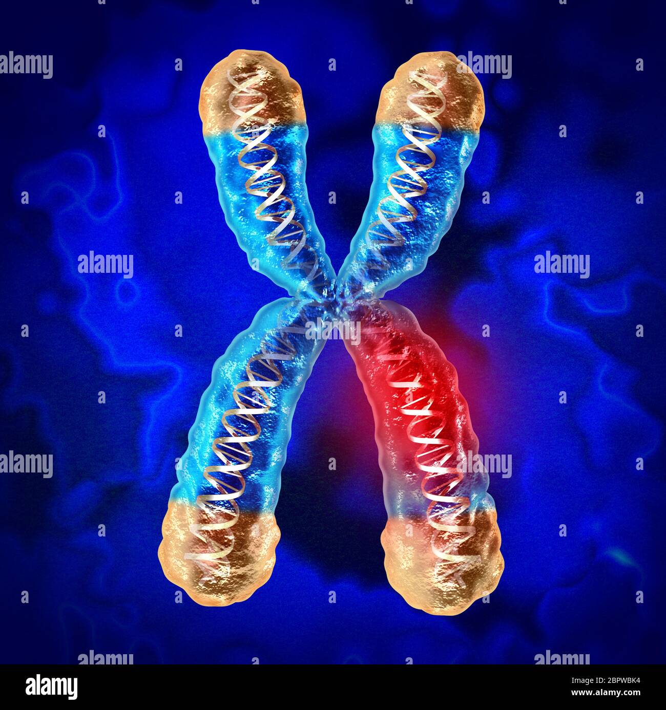 Genetische Krankheit und Chromosomenkrankheit oder DNA-Schädigung als Wissenschaft und Biologie Konzept mit beschädigten Genen als 3D-Rendering.[ Stockfoto Genetische Krankheit und Chromosomenkrankheit oder DNA-Schädigung als Wissenschaft und Biologie Konzept mit beschädigten Genen als 3D-Rendering.[ Stockfoto