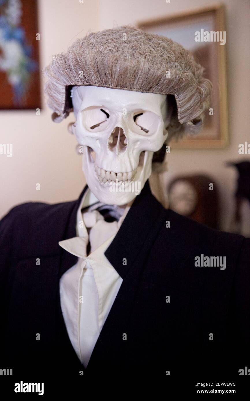 Skelett mit einer Richterperücke und Roben Stockfoto