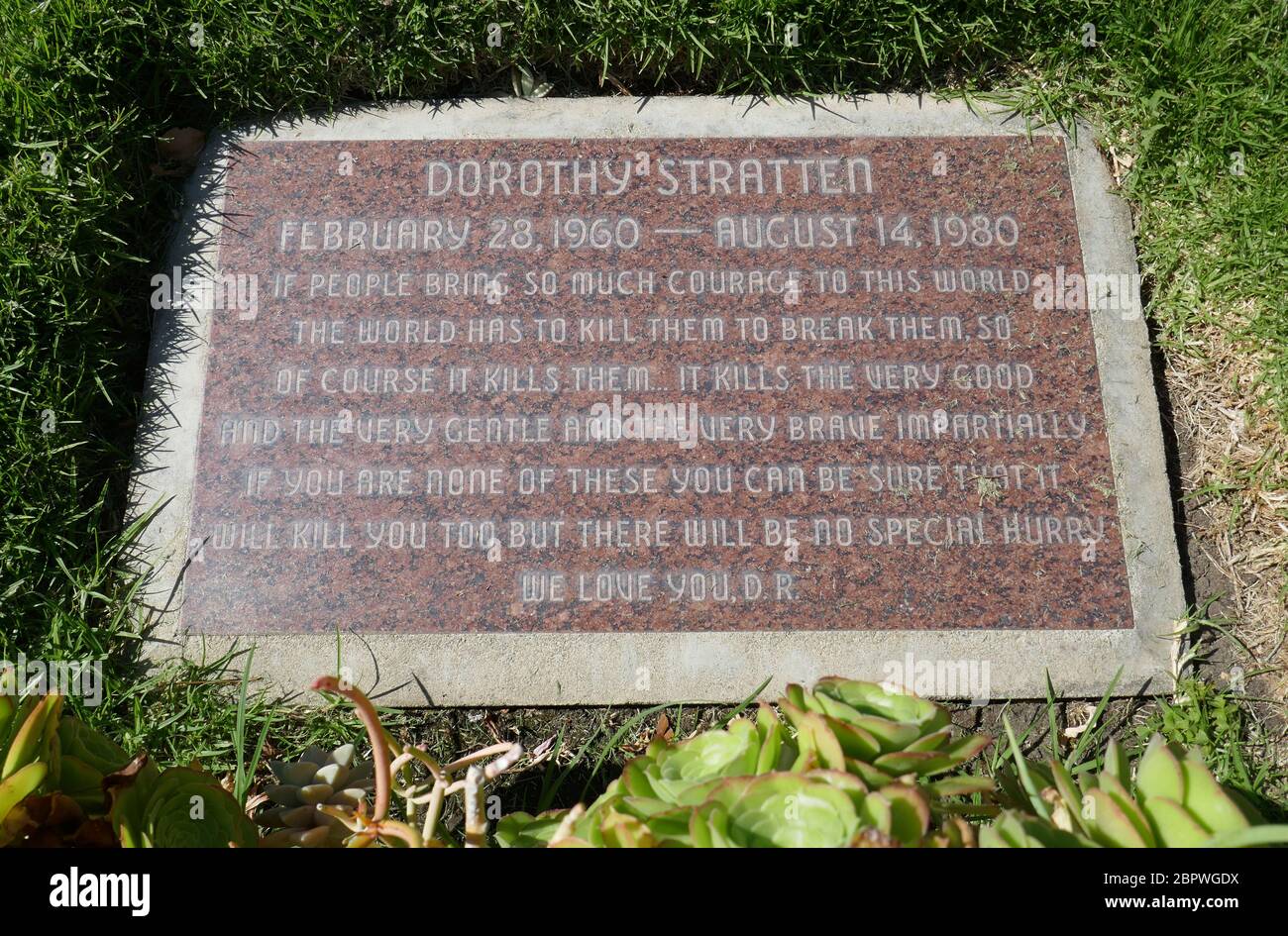 Dorothy stratten Fotos und Bildmaterial in hoher Auflösung Alamy