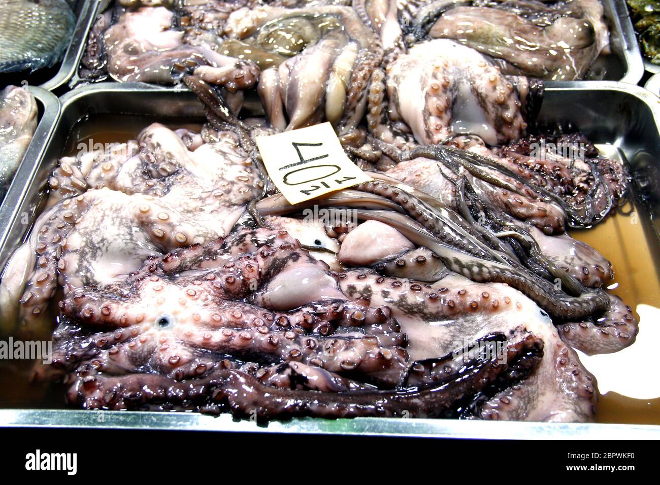 Foto von frischen und rohen Kraken auf einem öffentlichen Markt verkauft. Stockfoto