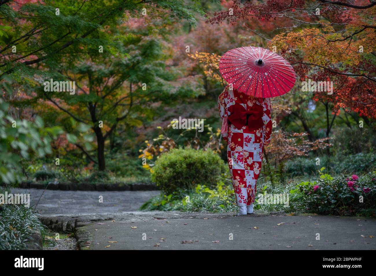 Geisha im Tokugawa Park in Nagoya im Herbst. Stockfoto