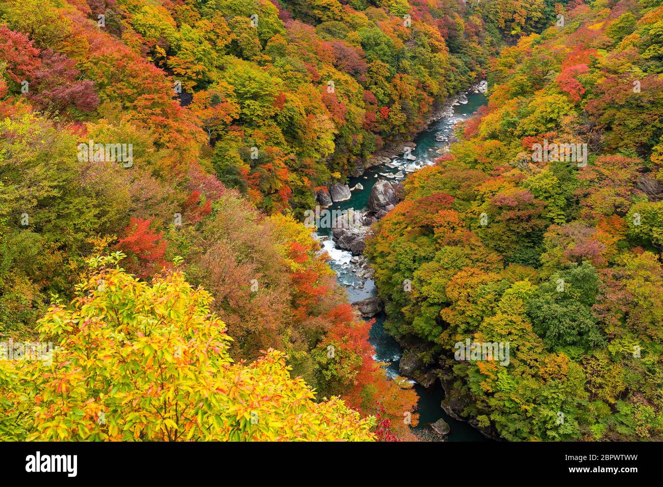 Kinugawa in der Herbstsaison Stockfoto