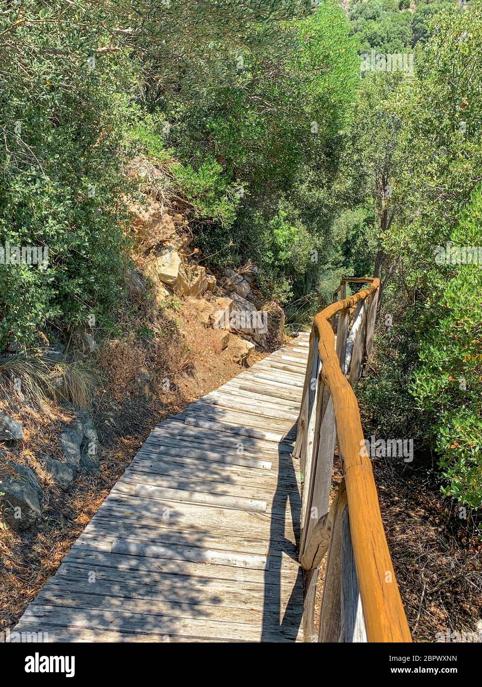 Holztreppe im wilden Wald des Berges Athos Stockfoto