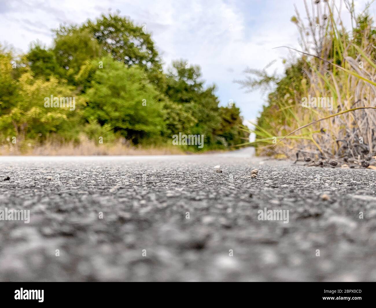 Suchen einen Baum gesäumten Straße in die Ferne Stockfoto