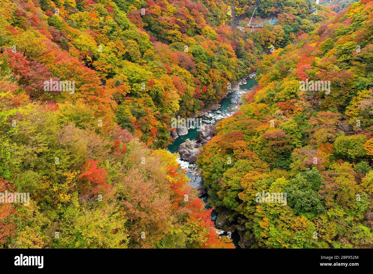 Herbstlandschaft in Kinugawa Stockfoto