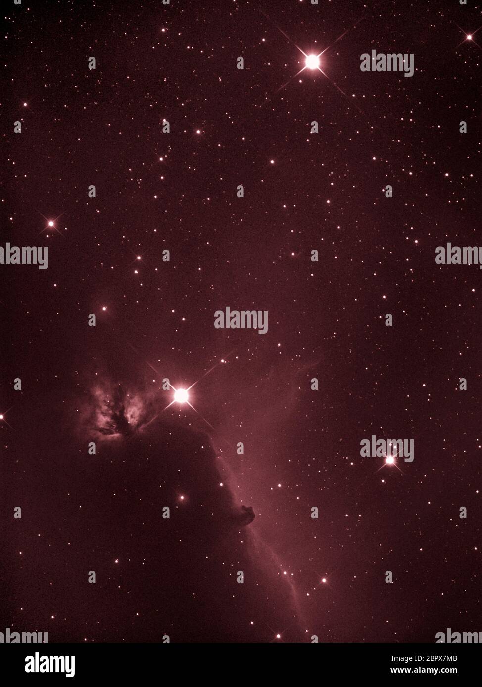 Der Pferdekopfnebel, Barnard 33, und Flammennebel, NGC 2024, im Sternbild Orion, aufgenommen von London, UK in Schmalband Stockfoto