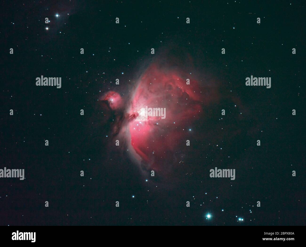 Der große Nebel, Messier 42, im Orion fotografiert durch ein Teleskop aus London, Großbritannien. Stockfoto