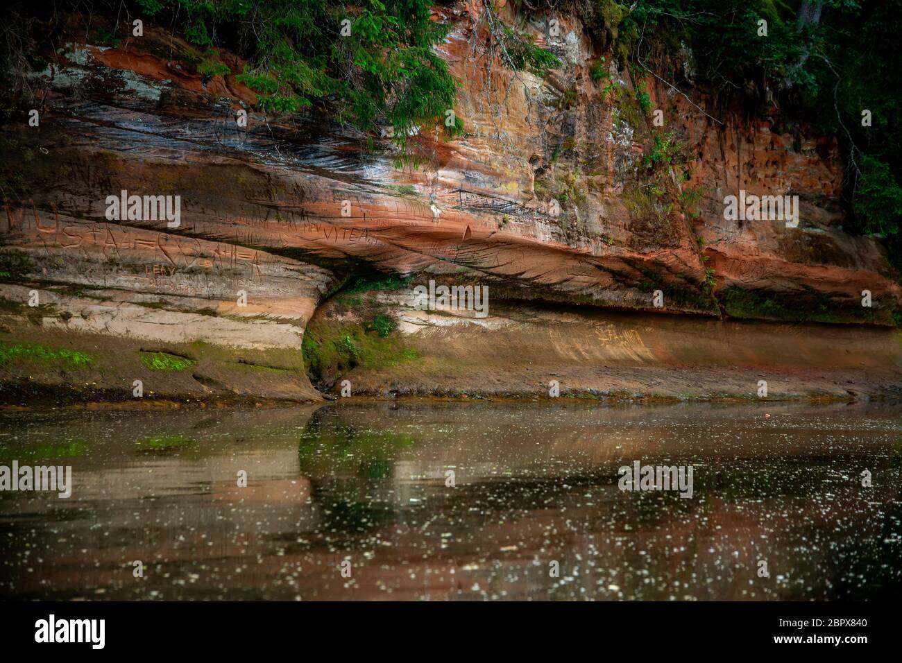 Nahaufnahme von sandsteinfelsen Formation in der Nähe des Flusses Gauja in Lettland. Sedimentgestein aus Sand oder Quarz Körner zusammen geklebt. Stockfoto