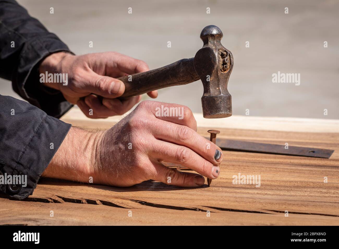 Hand eines Zimmermanns mit gequetscht schwarzen Fingernägeln hält einen alten Vintage-Hammer. Ein Arbeitsunfall mit Trauma an den Fingern verursacht verletzte Nägel und Stockfoto