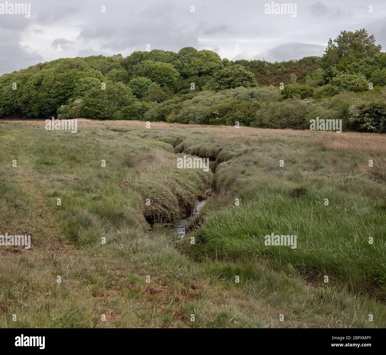 Mündung zu Pwllcrochan Flats Stockfoto