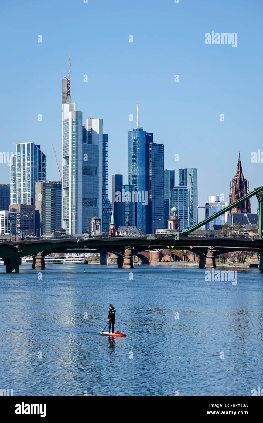 Frankfurt am Main, Hessen, Deutschland - Stand Up Paddler am Main zur Zeit der Koronakrise berührungslos, in der hinteren Skyline von Downt Stockfoto