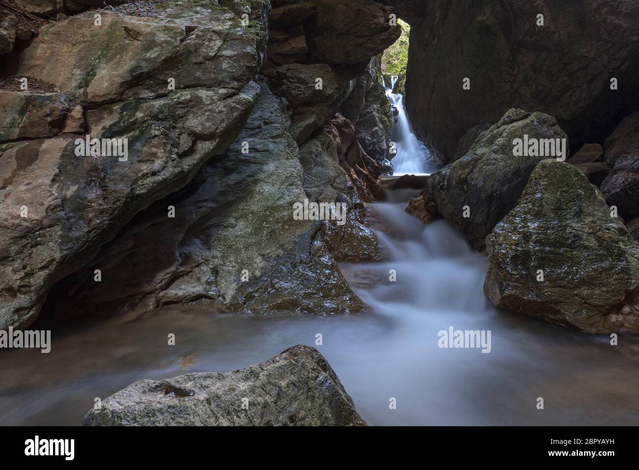 Stream Ponicova in Ciucaru Mare Berge, Rumänien Stockfoto