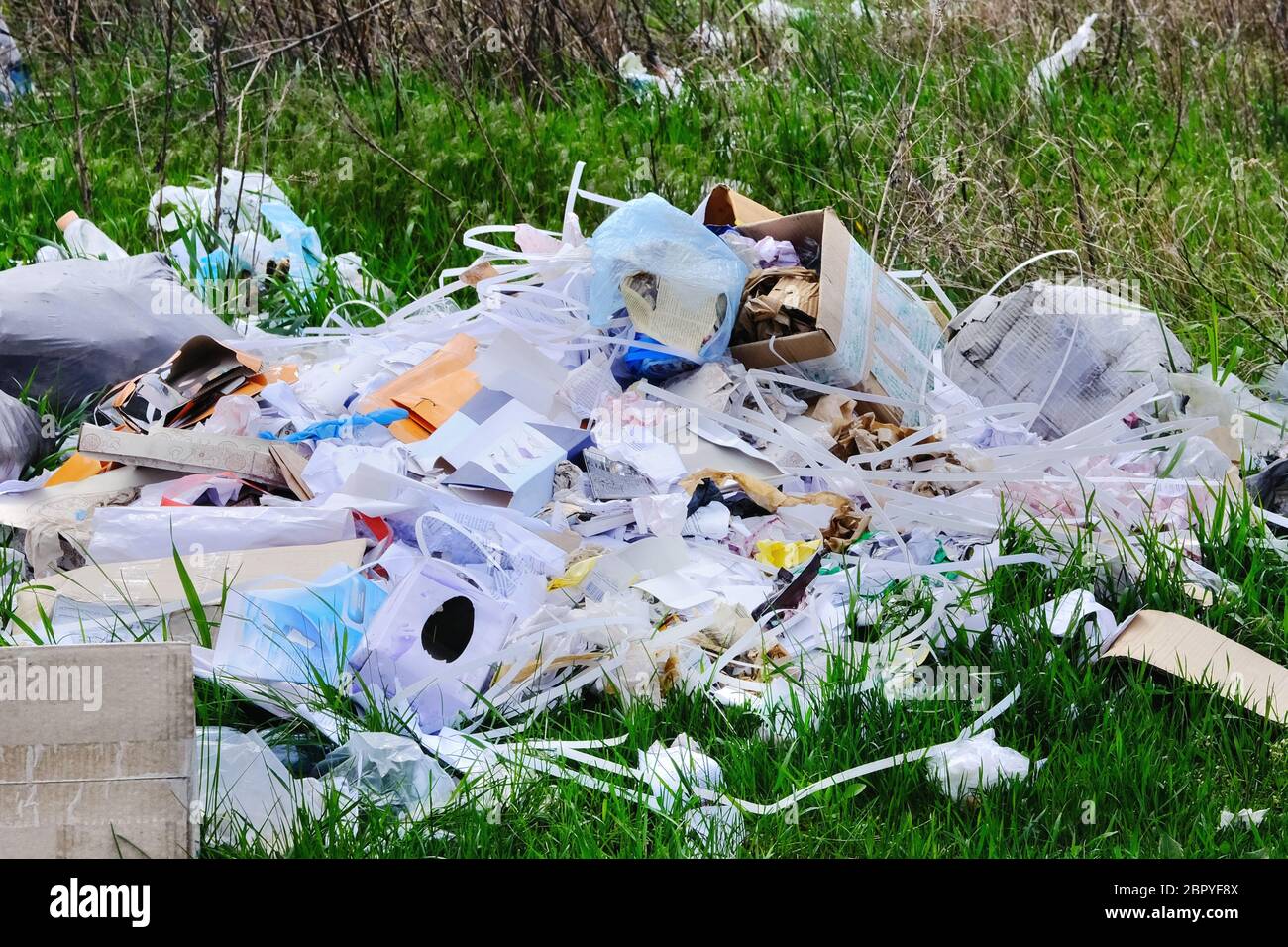 Plastik- und Papiermüll liegt in der Waldlichtung, Nahaufnahme. Verschmutzung der Natur mit Müllabfällen. Konzept der Umweltverschmutzung. Stockfoto