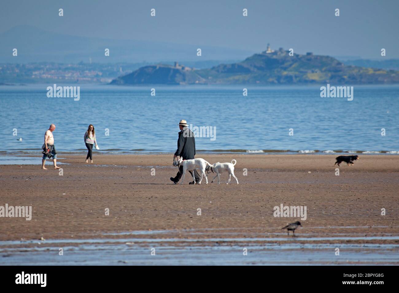 Portobello.Edinburgh, Schottland, Großbritannien. 20 Mai 2020. Ruhiger Start heiß sonnig und 18 Grad Celsius vor 10 Uhr. Hundespaziergänger, der mit zwei Passanten am Sandstrand entlang läuft. Stockfoto