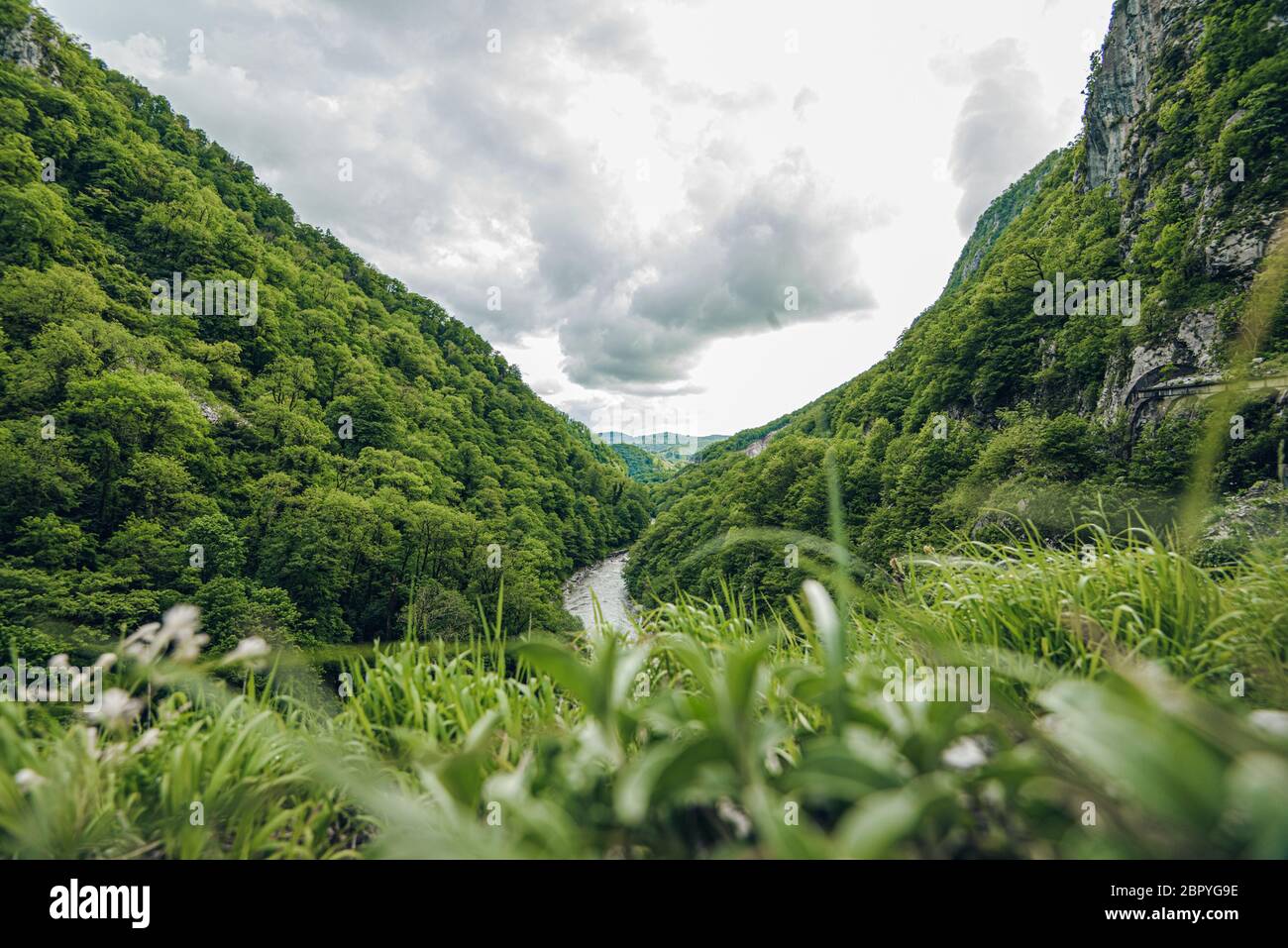 Das Tal eines Bergflusses Gras Berg Sommer Stockfoto