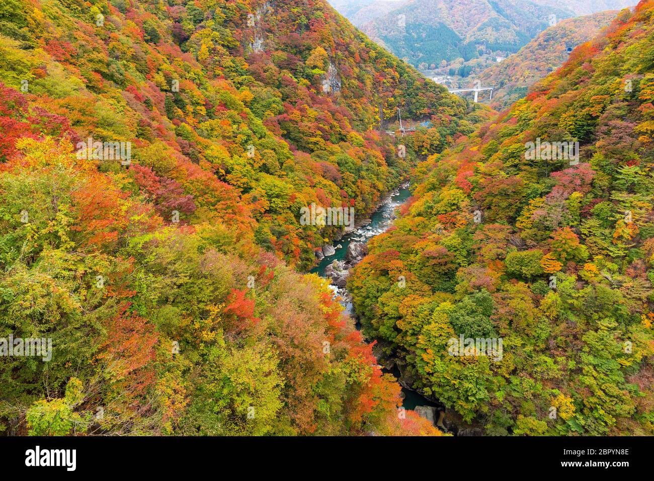 Kinugawa im Herbst Stockfoto