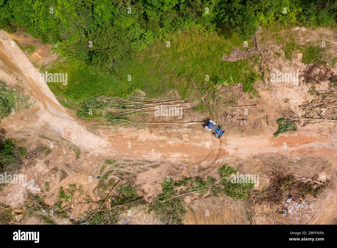 Top-down-Luftaufnahme von Entwaldung und Holzeinschlag in einem tropischen Regenwald. Entwaldung trägt in großem Sinne zum Verlust von Lebensräumen und von Menschen geschaechter cli bei Stockfoto