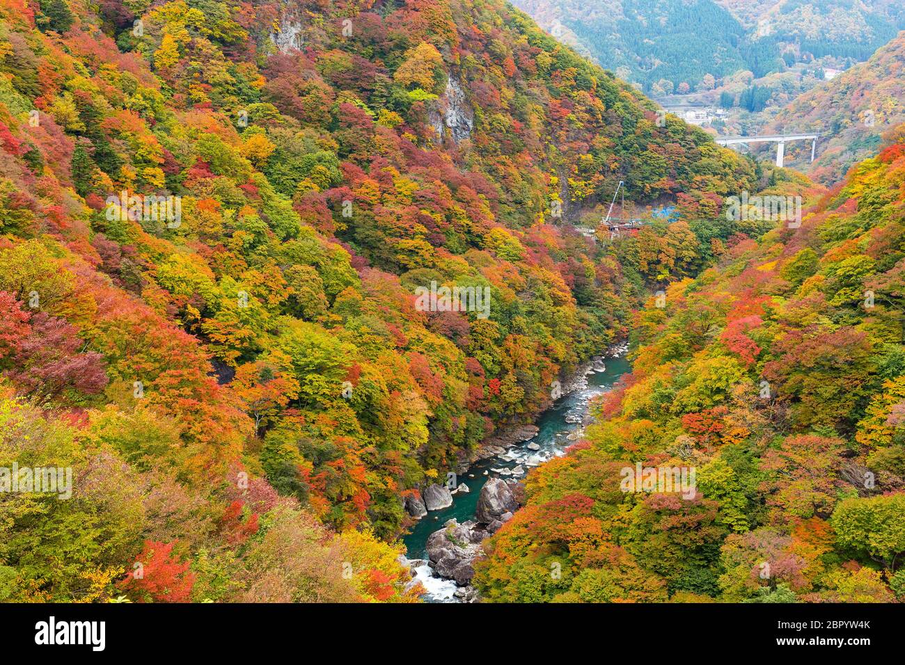 Herbstlandschaft in Kinugawa Stockfoto