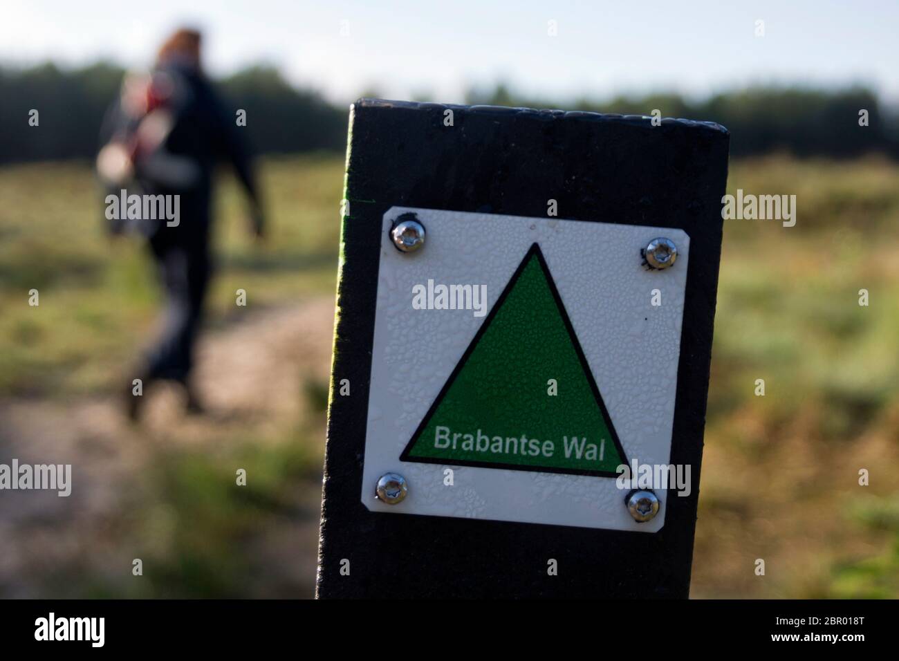 Frau mit Rucksack wandern ein Naturlehrpfad in der niederländischen Naturschutzgebiet Brabantse Wal Stockfoto