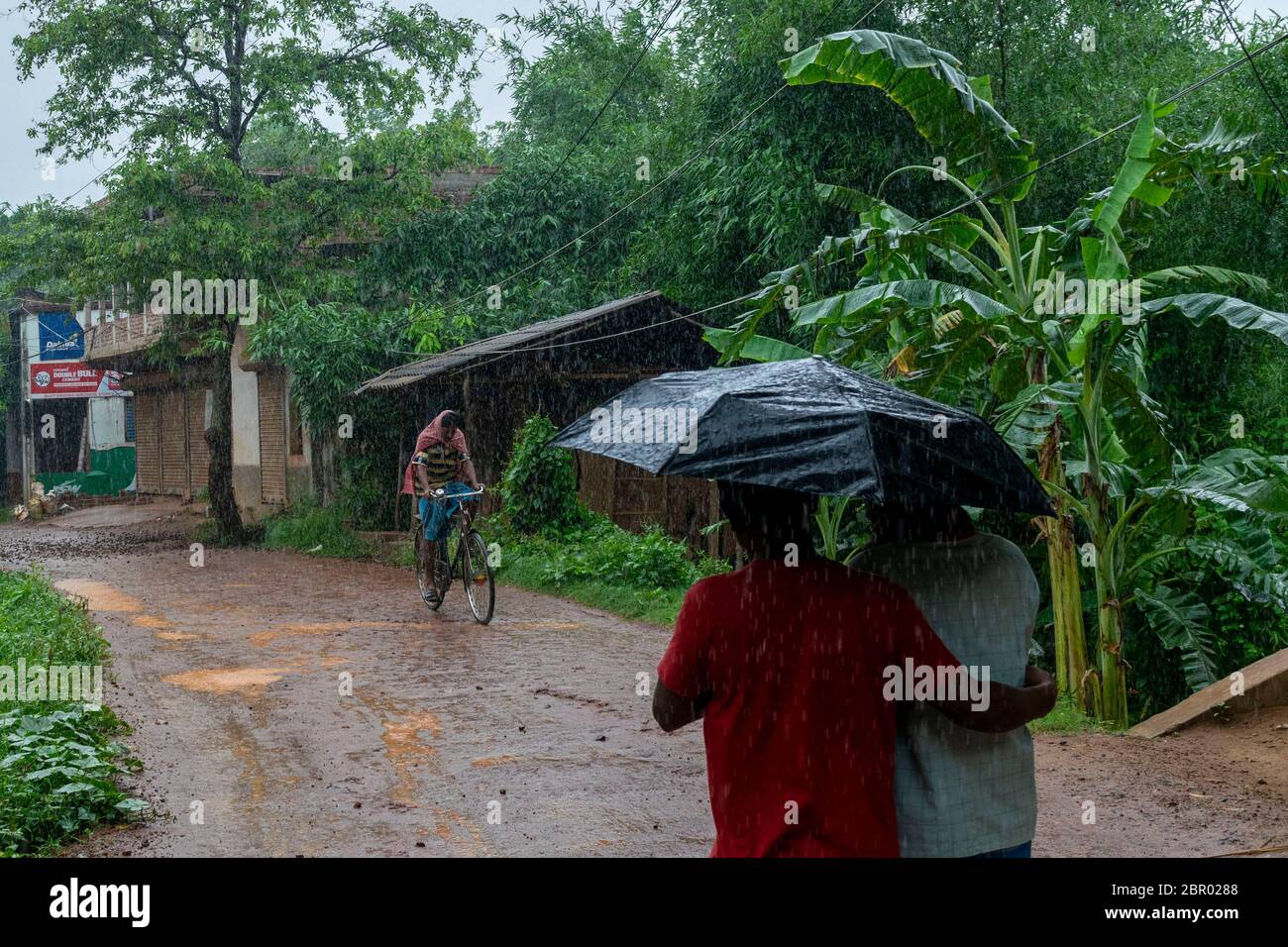 Hoogly, Indien. Mai 2020. Ein Mann fährt im Regen mit dem Fahrrad, während ein Paar sich mit einem Regenschirm vor Regen schützt.der Superkyklon "Amphan" wird voraussichtlich die Küstengebiete Orisha und West Bengalen in Indien treffen. Es wird auch erwartet, dass es 'Hatiya' Insel Bangladesch mit einer maximalen dauerhaften windgeschwindigkeit von 120 bis 130 km/h am heutigen Nachmittag treffen. Quelle: SOPA Images Limited/Alamy Live News Stockfoto