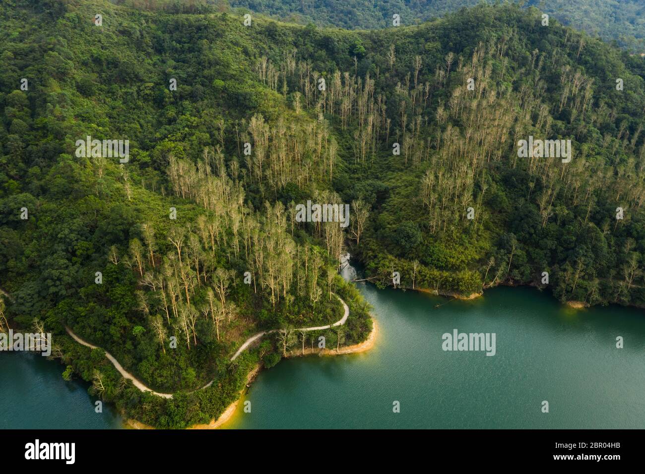 Luftaufnahme des Reservoirs in Hongkong Stockfoto