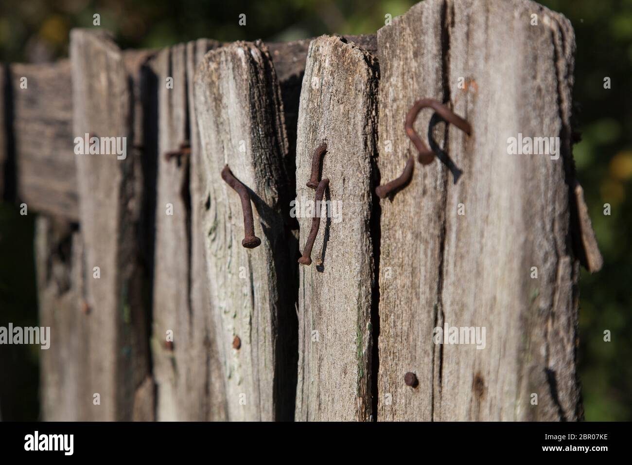 Ein Teil des alten abgenutzten Holzzauns mit rostigen Nägeln, die herausstehen/Сloseup des alten Zauns mit Nägeln Stockfoto