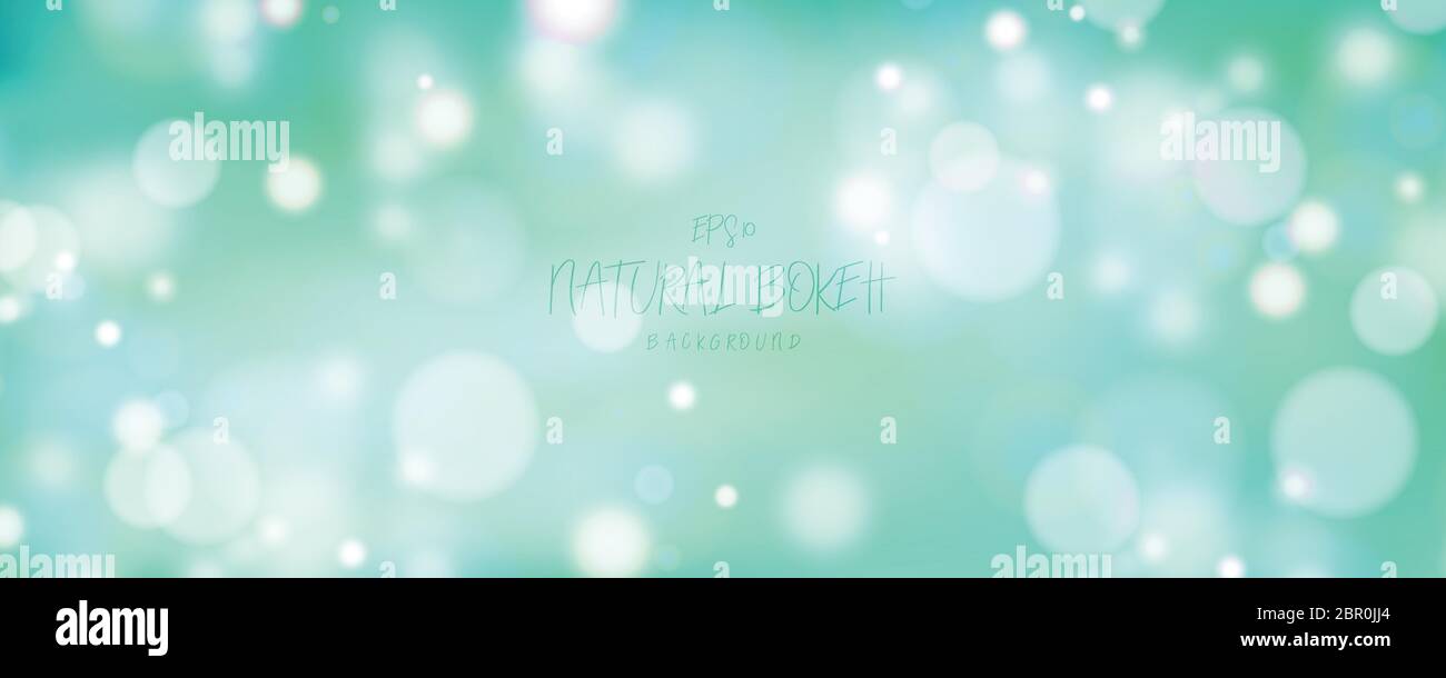 Abstrakt weite Natur Sommer von Mesh grün Bokeh Hintergrund. Dekorieren für Poster, kopieren Raum von Text, drucken, Präsentation. Illustration Vektor eps10 Stock Vektor