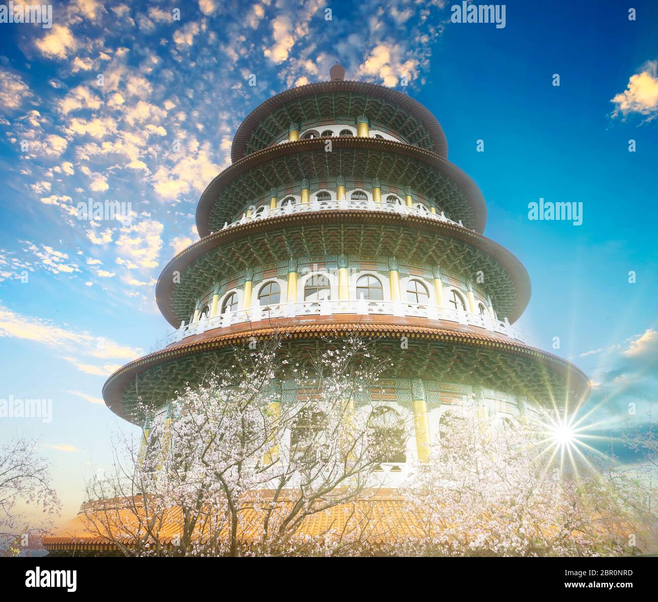 Den Punkt Ansicht Sakura Kirschblüte an Tianyuan Tempel, der tianyuan Tempel ist berühmt für seine schöne Landschaft und ein schöner Ort für Cherry blosso Stockfoto