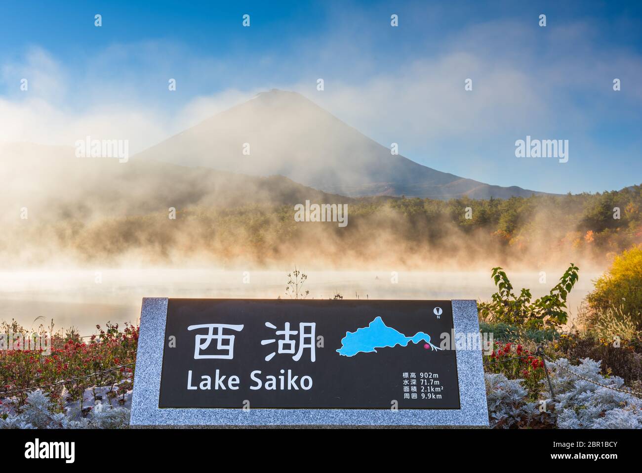 Lake Saiko, Japan am Ufer mit Mt. Fuji an einem nebligen Morgen. Stockfoto