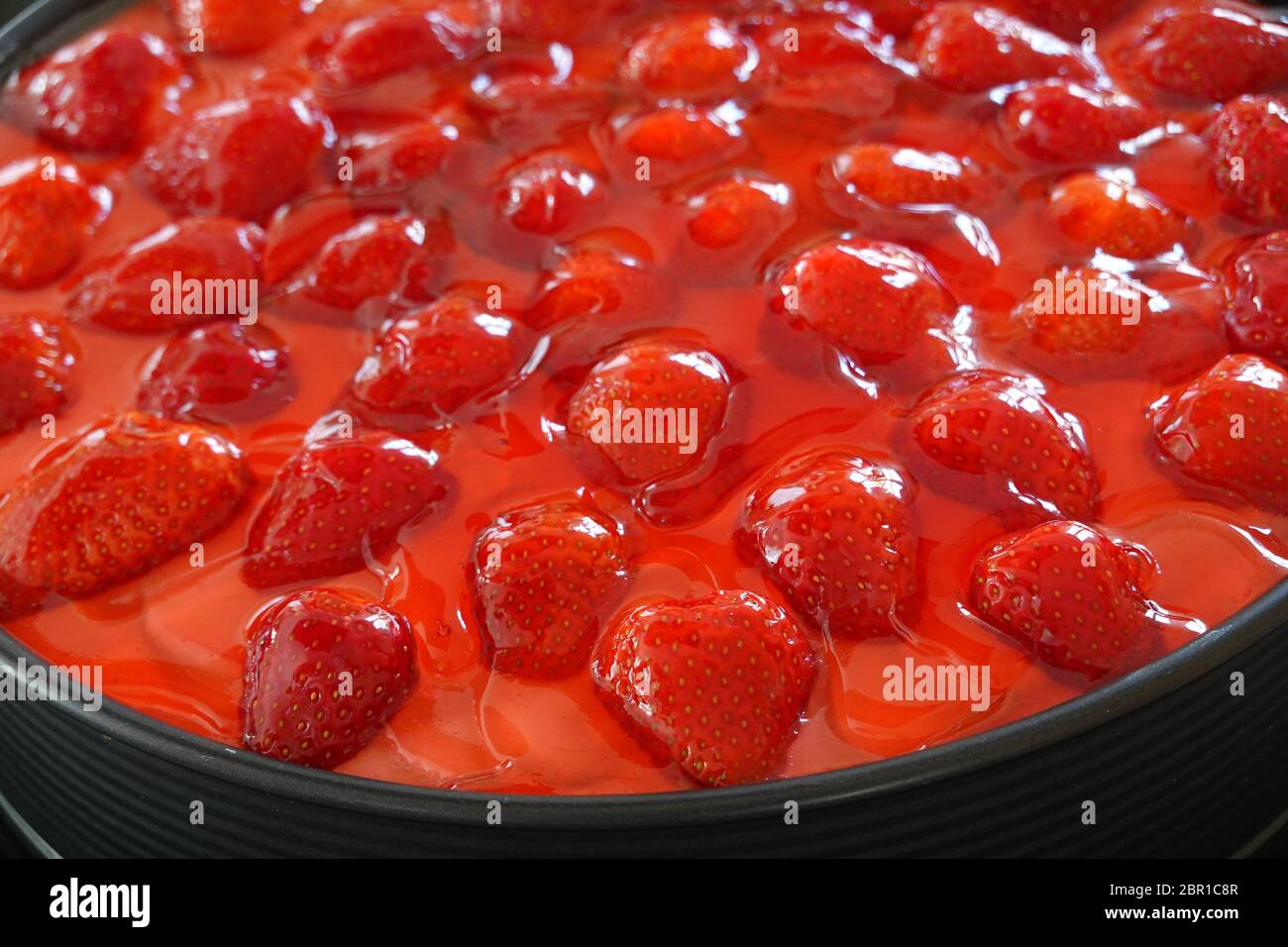Erdbeerkuchen in einer schwarzen Frühlingsform - Nahaufnahme von Gelee-Fruchtaufständern, Detailansicht eines leckeren frischen, hausgemachten cac mit vielen roten Erdbeeren Stockfoto