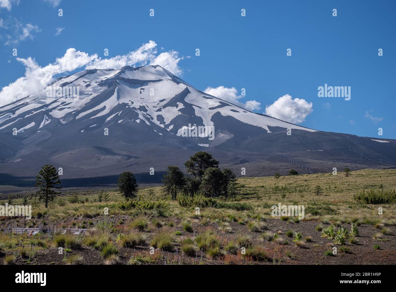 Bergpanorama bin Lonquimay (Chile) Stockfoto