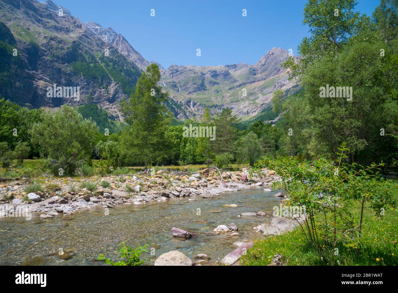 Río Cinca. Pineta Tal, Ordesa y Monte Perdido Nationalpark, Provinz Huesca, Aragón, Spanien. Stockfoto