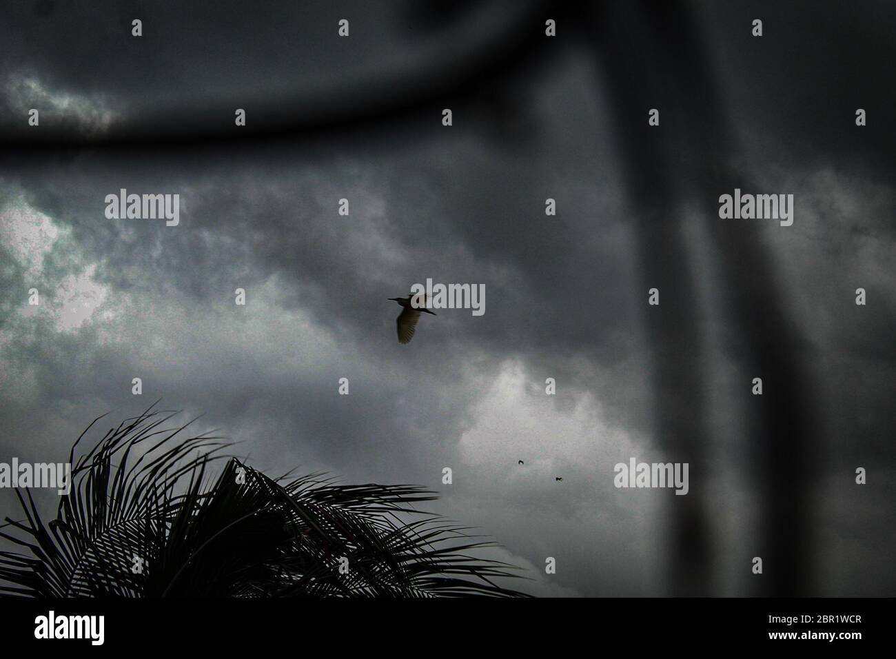 Superzyklon Amphan Sturm um den heutigen Nachmittag, als es sich nordwärts über die Bucht von Bengalen bewegt und West Bengal-Bangladesch Küsten zwischen Digha und Hatia Inseln durchquert. Der Superzyklon Amphan Sturm lag 155km südöstlich von Paradip, Odisha, 280 km südlich von Digha,West Mednipore,Howrah,Hooghly, Im Süden und Norden 24 werden Parganas und Kolkata Distrikte von Westbengalen starke bis extrem starke Niederschläge erleben. Die Landung wird zwischen Nachmittag und Abend erwartet. (Foto von Soumadip das/Pacific Press/Sipa USA) Stockfoto