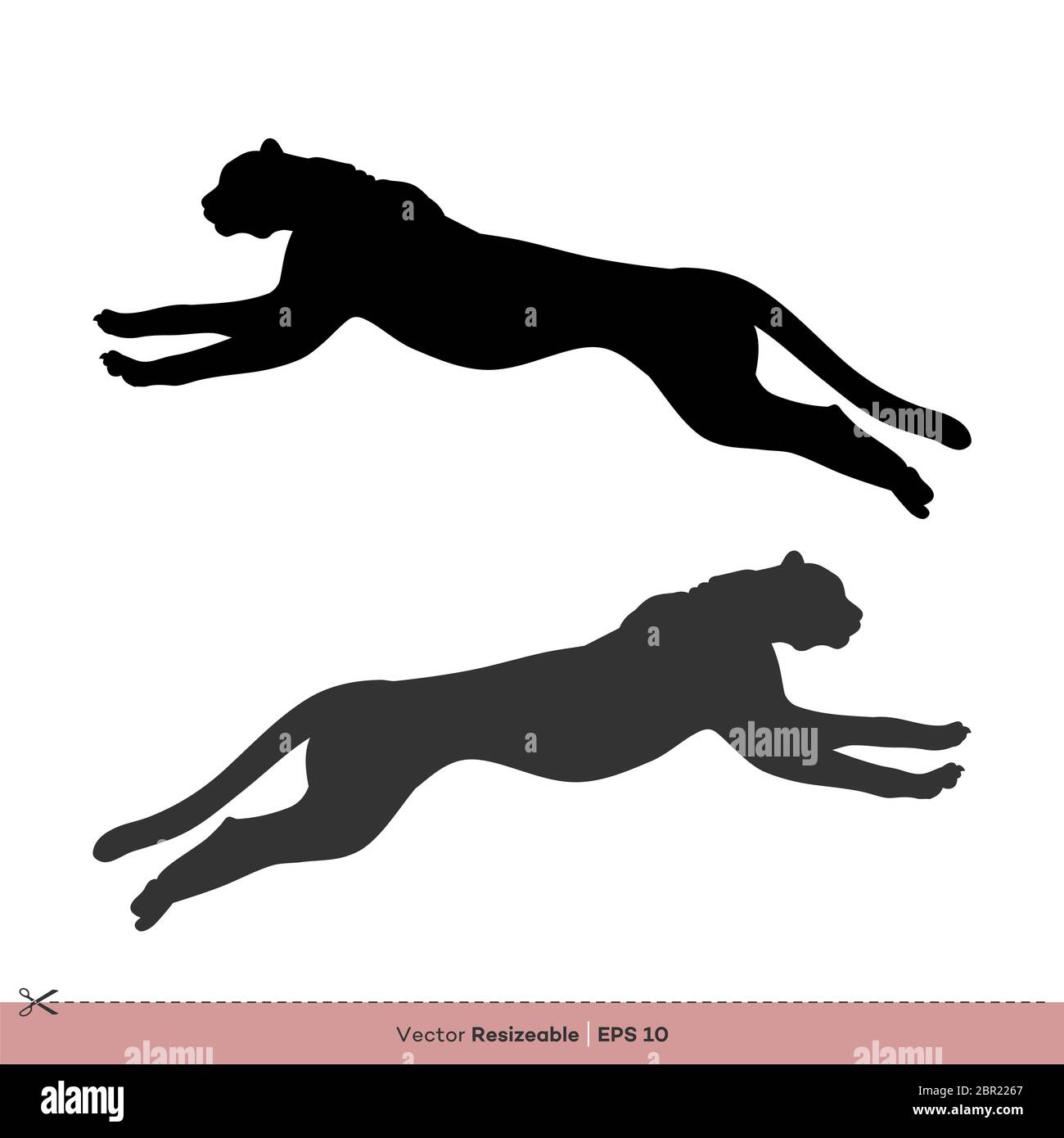 Running Cheetah Silhouette Vektor Logo Vorlage Illustration Design Stockfoto