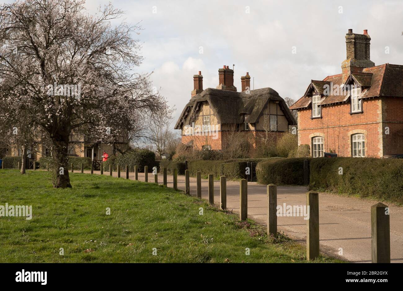 Das Gutsdorf Somerleyton, Suffolk Stockfoto