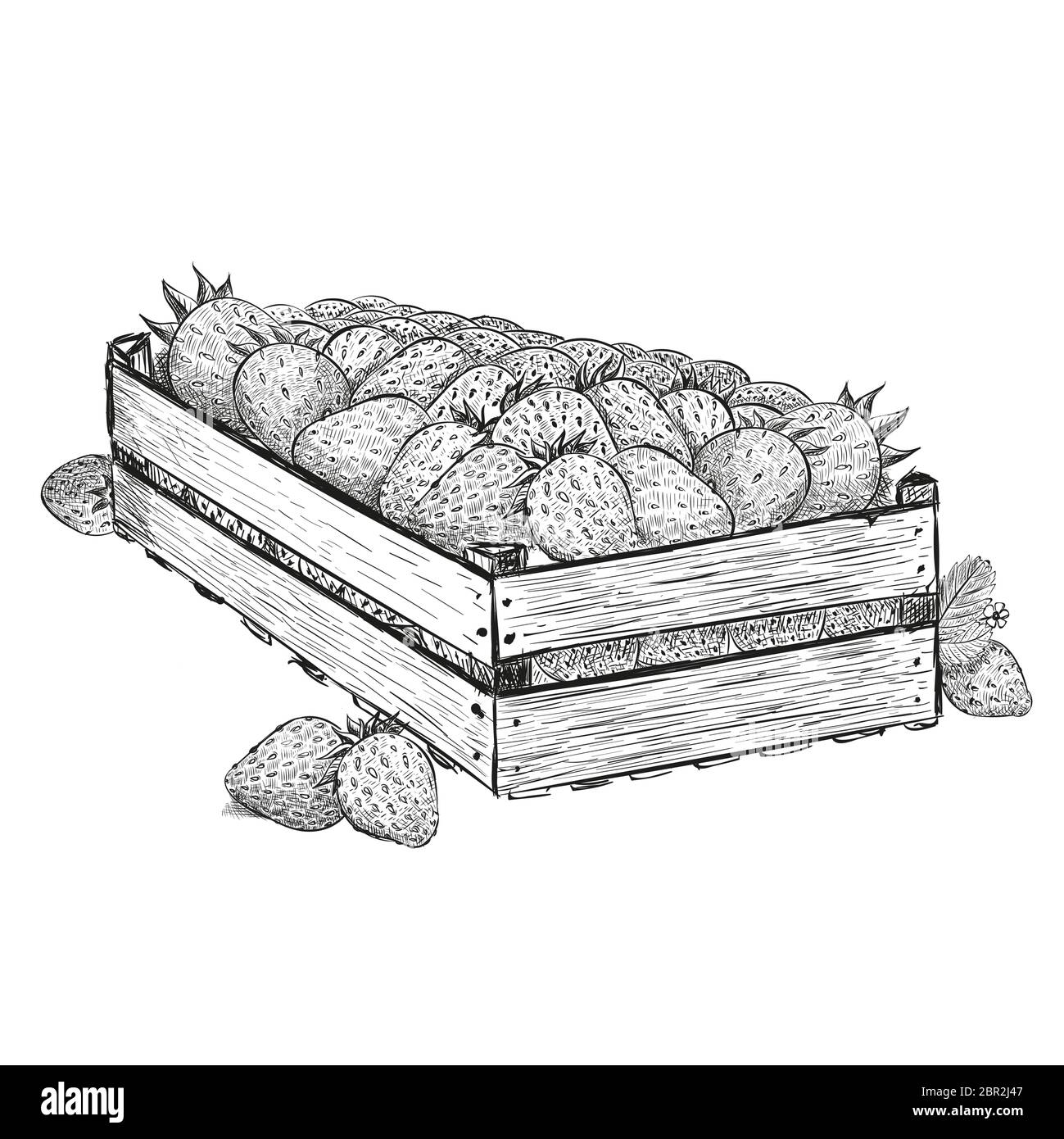 Erdbeerbeeren in Holzkiste. Vektorgrafik im Skizzenstil isoliert auf einem weißen. Stock Vektor