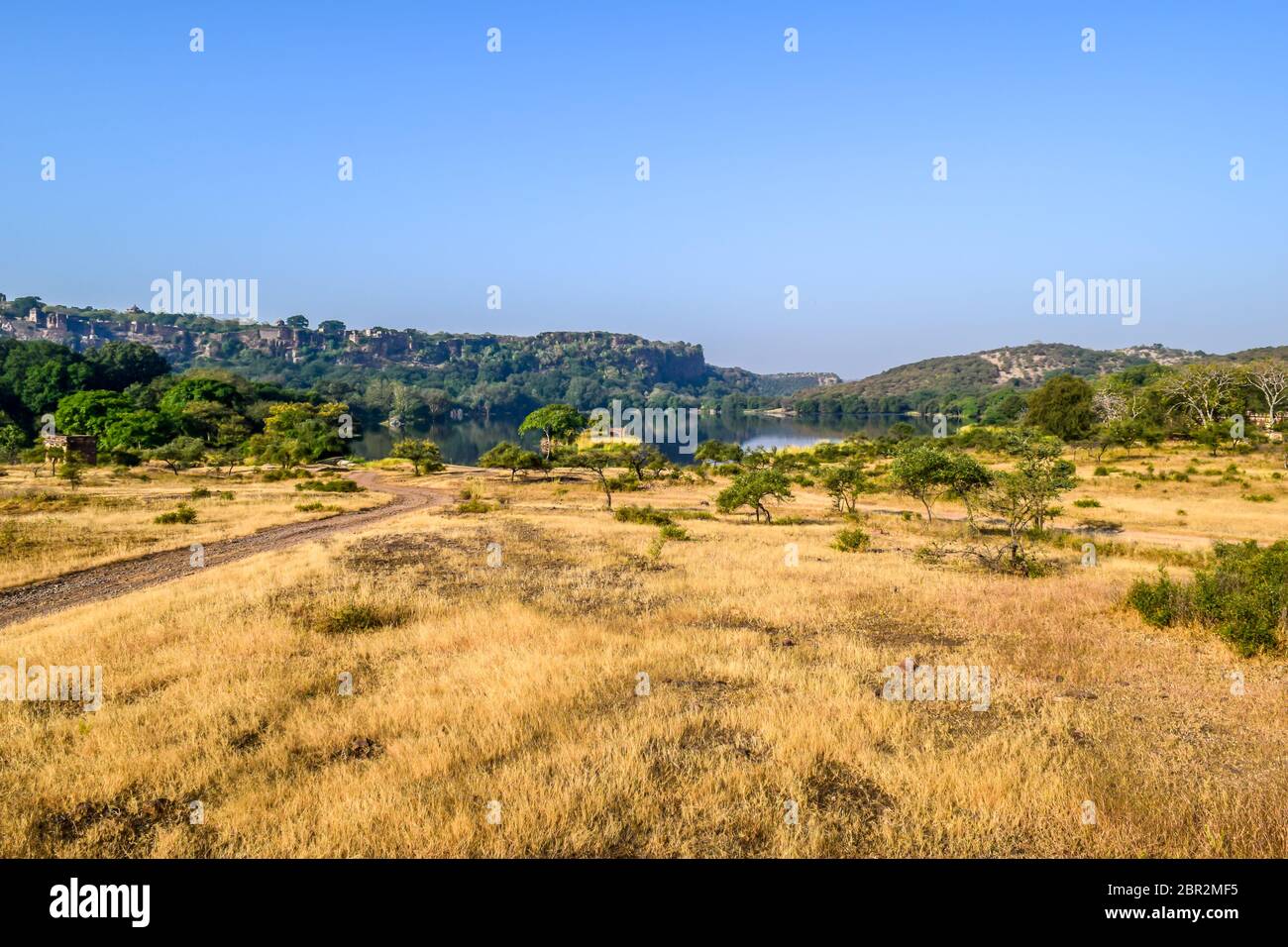 Innenansicht des Ranthambore Nationalpark, Indien Asien. Wie pro Touristische Gruppe auf Dschungel Safari, extreme Gefahr Lage von Wald für Adventure Tour. Es Stockfoto