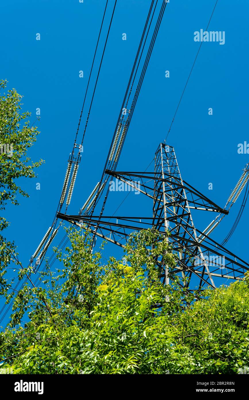 National Grid elektrischen Pylon ragt über den Baumkronen Stockfoto