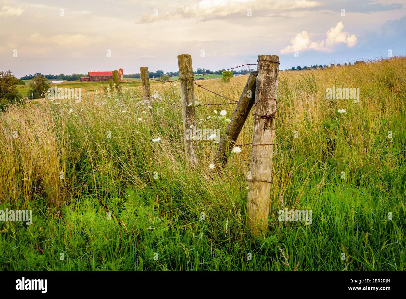 Alten Zaun auf einem Bauernhof in Bluegrass Region Kentucky Stockfoto