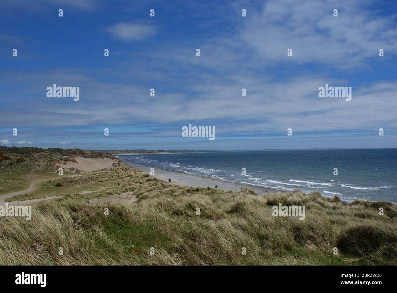 Panoramablick auf den windgepeitschten Strand an einem sonnigen Tag in der Grafschaft Down, Nordirland Stockfoto