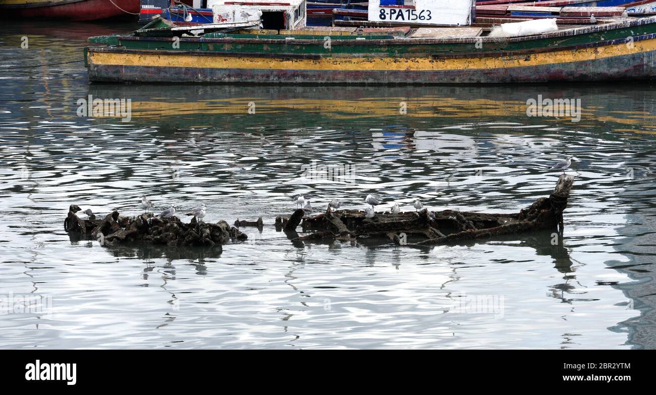 Wrack im Fischerhafen von Panama City, Panama mit Vögeln an der Spitze. Stockfoto