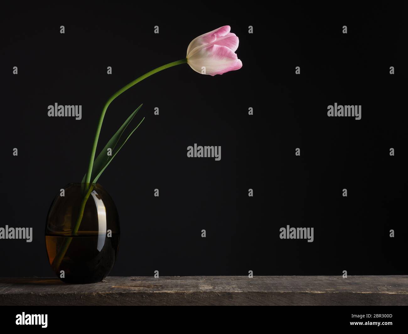 Eine schöne single Tulip auf einem rustikalen Holztisch mit Platz für Text Stockfoto
