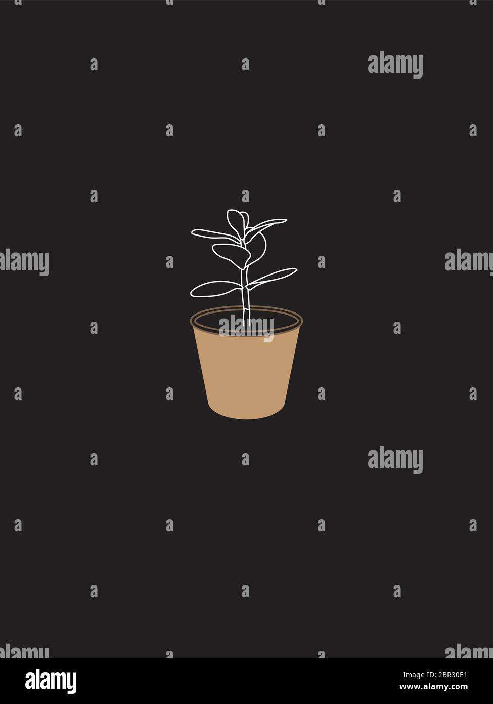 Moderne und minimalistische Jadepflanze in Pot Line Art. Weiße Linie un Dunkelgrau Stock Vektor