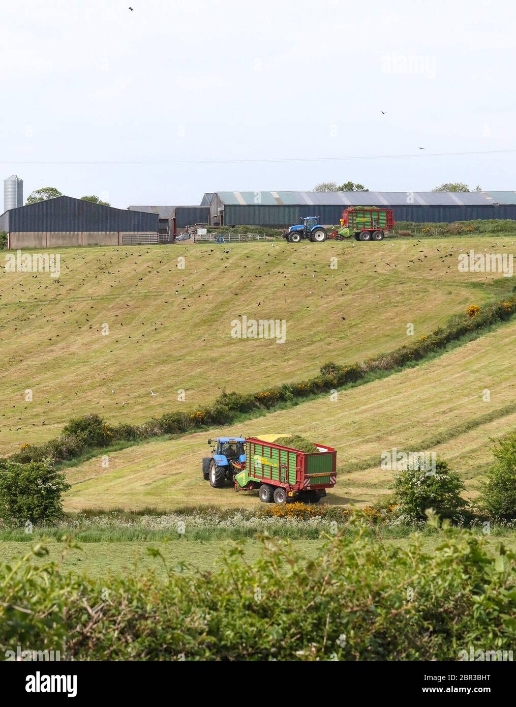 Dromore, County Down, Nordirland. 20 Mai 2020. UK Wetter - ein warmer Tag mit Sonnennyperioden und einer leichten Brise, bevor starker Wind und etwas Regen am Wochenende eintreffen. Traktoren sammeln Silage auf einem Hügel, bevor am Wochenende Regen einfällt. Kredit: CAZIMB/Alamy Live News. Stockfoto
