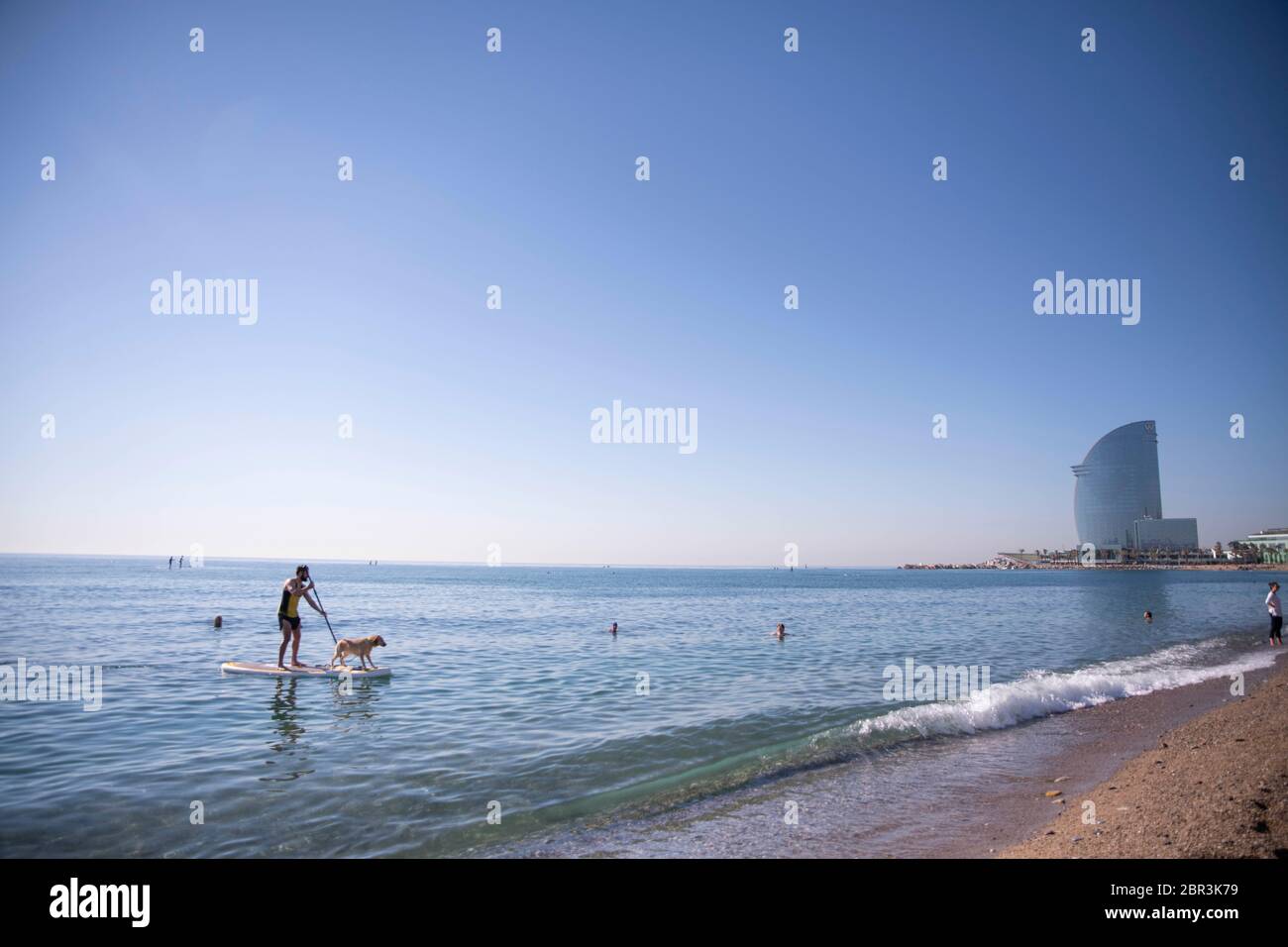 Mann paddelsurfing mit seinem Hund am Strand Barceloneta in Barcelona, Spanien am 20. Mai 2020. Die Stadt bleibt weiterhin auf der Stufe Null der allmählichen Dekompression der Beschränkungen der Einsperrungen. Trotzdem werden Sicherheitsmaßnahmen Tag für Tag aktualisiert. Ab heute von 18 bis 22 Uhr ist es neben der Praxis der individuellen Sportarten, die vor Wochen erlaubt sind, unter Beachtung der Sicherheitsdistanz auf dem Sand zu laufen. Sonnenbaden ist verboten. Spanien steht wegen der Coronavirus-Pandemie vor dem 66. Tag des Ausnahmezustands. Die Zahl der Krankenhauseinweisungen sinkt, aber die Todesfälle leiden unter einer kleinen Erholung. (Phot Stockfoto