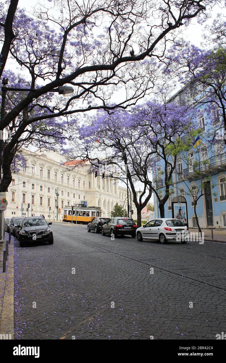 Blick auf die Versammlung der Republik Portugal, den Palast von Sao Bento und eine traditionelle gelbe Seilbahn mit Passagieren aus der Ferne Stockfoto