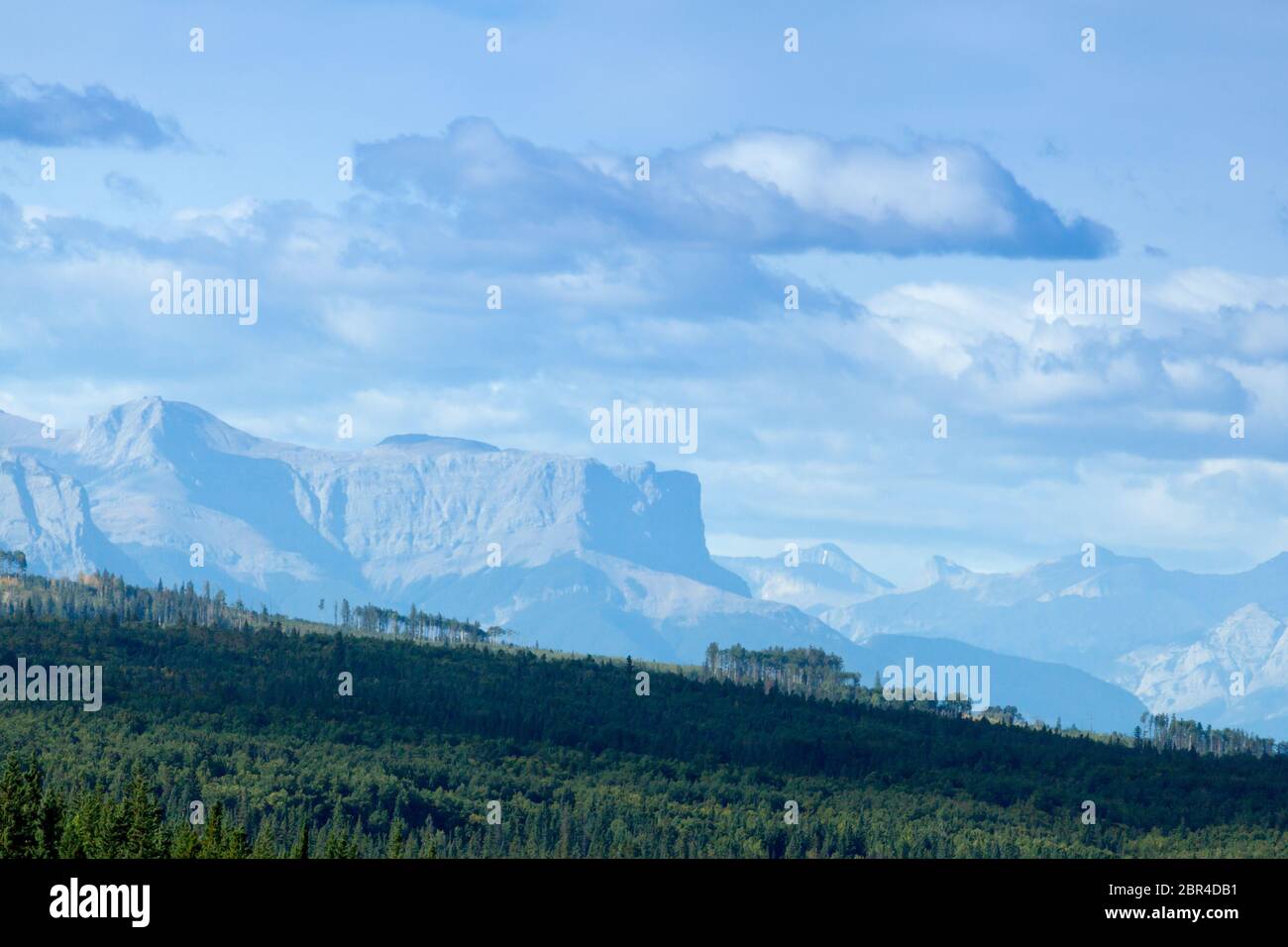 Kanadische Rockies auf dem Yellowhead Highway 16, Alberta Stockfoto
