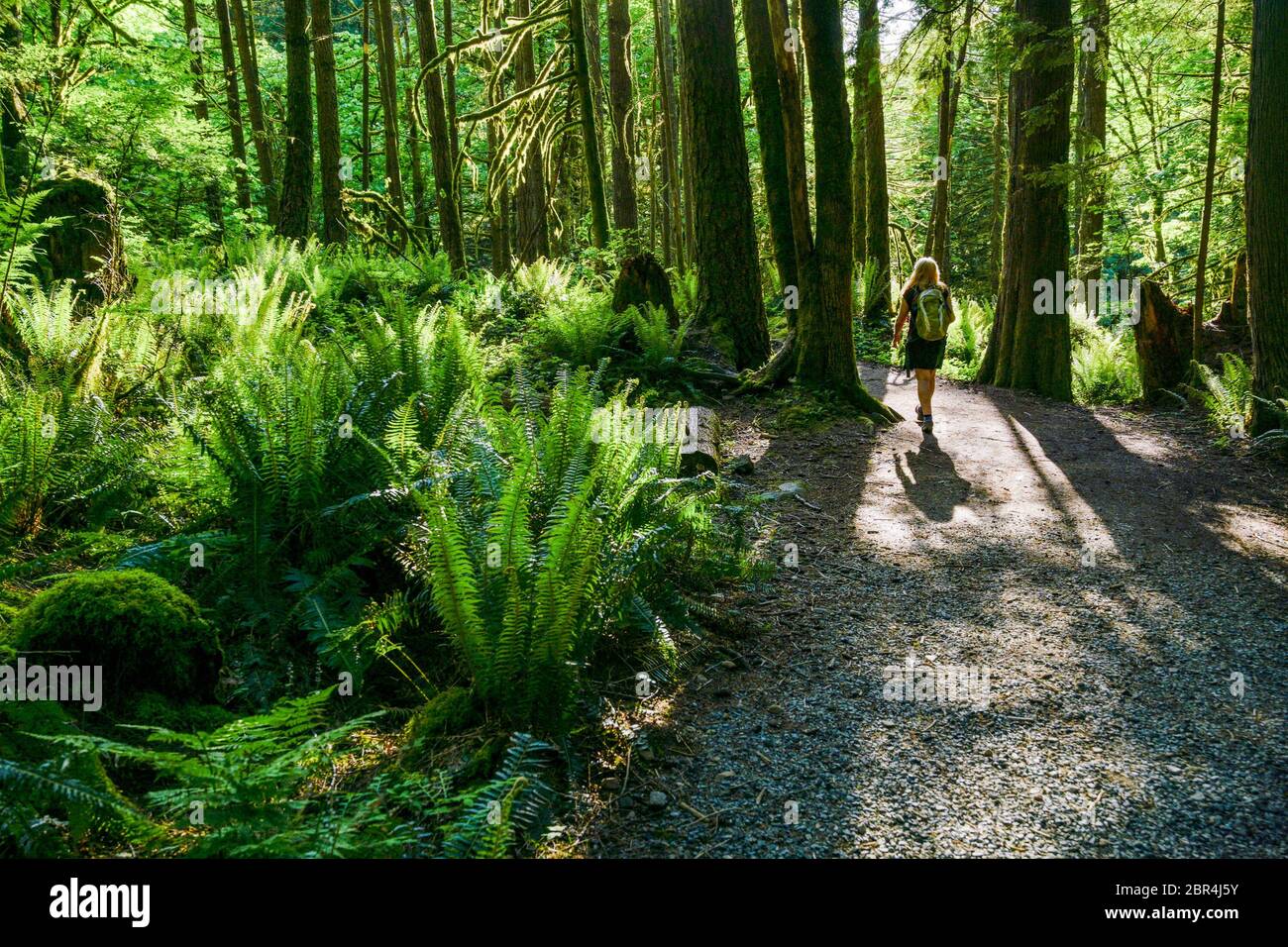 Frau auf Waldweg, Minnekhada Regional Park, Coquitlam, British Columbia, Kanada Stockfoto