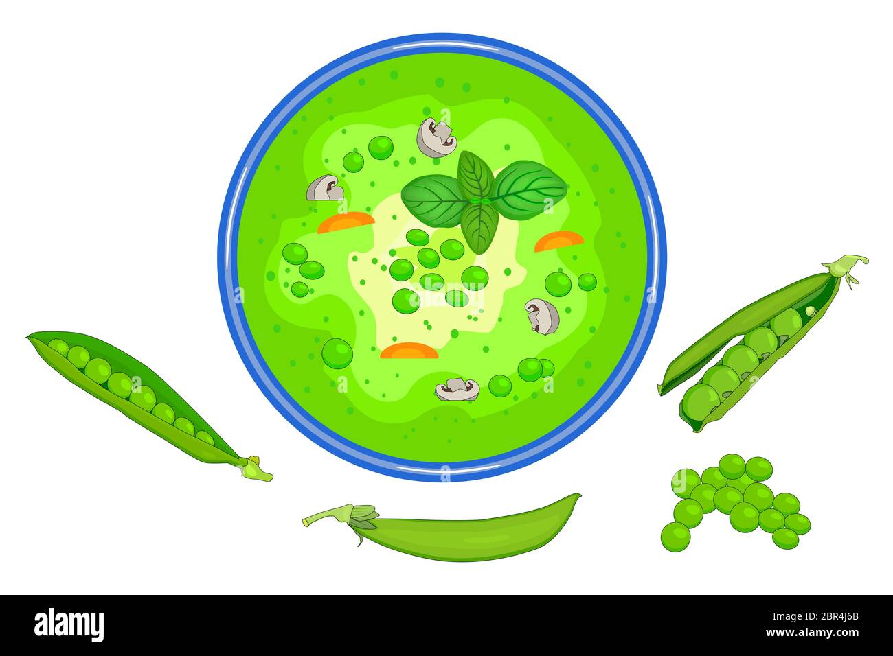 Schüssel der grünen Erbsen Suppe auf weißem Hintergrund isoliert. Leckere heiße Gemüsesuppe mit Gemüse und Pilz in Teller und offene Erbsenschoten in der Nähe. Vektor Stock Vektor