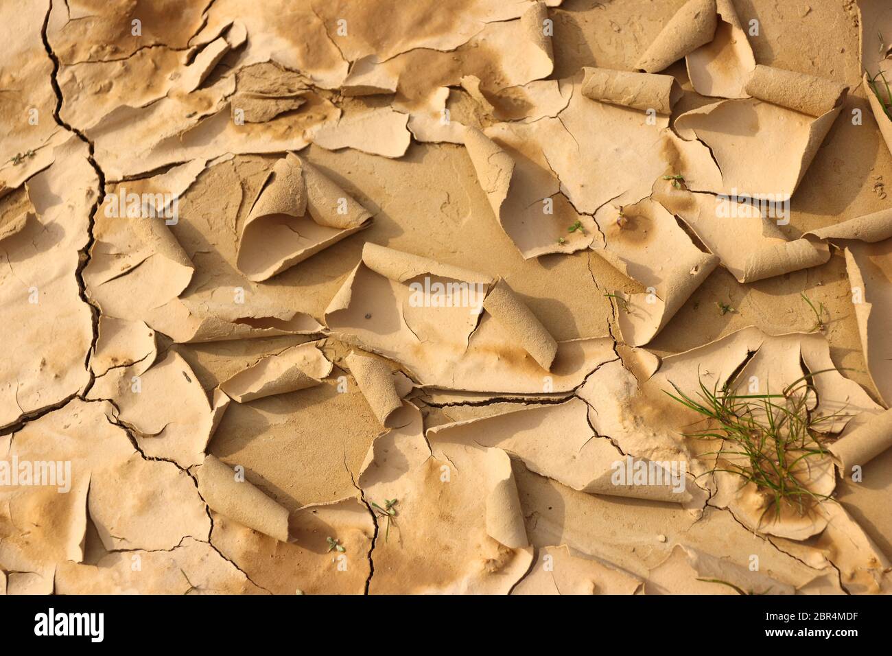 Nahaufnahme faszinierender natürlicher Formen und ausgeprägter Austrocknungsrisse in der halbwüstenartigen Naturregion Bardenas Reales, Navarra, Spanien Stockfoto